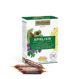 APIELIXIR ademhalingsgezondheid Karpatenbij, 10 ampullen x 10 ml, Apicola