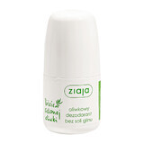 Ziaja Green Olive Leaves, Deodorant roll-on, 60 ml