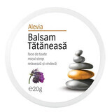 Balsamo di Tătăneasa, 20g, Alevia