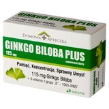 Ginkgo Biloba Plus, 48 ​​tabletten