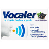 Vocaler, zwarte bes, 12 zuigtabletten