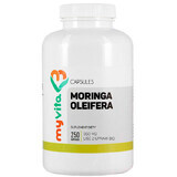 MyVita Moringa oleifera, blad uit biologische landbouw, 250 capsules