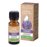 Vera Nord, natural essential oil, lavender, 10 ml