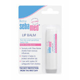 Dermatologische beschermende lippenbalsem, 4,8 g, Sebamed Baby