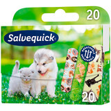 Salvequick-pleisters, Animal Planet, 20 stuks