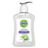 Dettol, antibacterial liquid soap, aloe vera and vitamin E, 250 ml