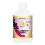 Joy Day Fish Collageen Postbiotische Acai-bessen, 500 ml