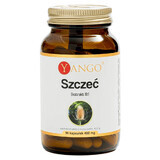 Yango Szczeć, 90 capsules