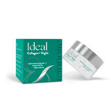 Ideal Collagen Night Repair Cream, 50 ml, Docteur Fiterman