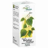 Succus Betulae Phytopharm 2,33 g/2,5 ml, vloeistof voor oraal gebruik, 100 ml