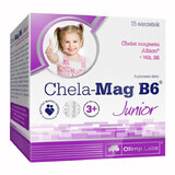 Olimp Chela-Mag B6 Junior, per bambini di età superiore ai 3 anni, 5 g x 15 bustine