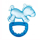 Canpol, teether water with bell, Konik, from 3 months, 1 pc