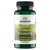 Swanson Full Spectrum Coleus Forskohlii, Indische brandnetel, 60 capsules