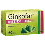 Ginkofar Intense 120 mg, 60 film-coated tablets