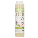 Anthyllis EcoBio, antiroosshampoo voor veelvuldig wassen met salie- en brandnetelextract, 250 ml