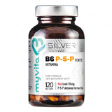 MyVita Silver, Vitamine B6 P-5 Forte, 120 capsules