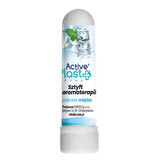 ActivePlast Aroma, aromatherapiestaafje, ijs mint, 1 stuk