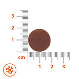 SEMA Lab Orthoplasma + Salie, 24 zuigtabletten