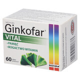 Ginkofar Vital, 60 filmomhulde tabletten