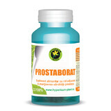 Prostaborat, 60 gélules, Hypericum