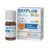 Refflor Bebe suspensie orala, 9g, Hyllan