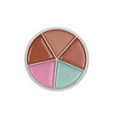 Paleta de correctores, S.F.R Color, Rich Concealer, 5 colores, 03