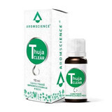 Thuja Klar, 15 ml, Dvr Pharm