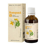 Tintura Rostopasca, 50 ml, Pianta Dacia