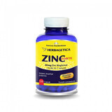 Zinc Forte, 120 gélules, Herbagetica