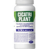 Cicatri Plantaardig geneeskrachtig poeder, 100 g, Pasteur