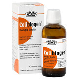 Colibiogen solución oral, 100 ml, Laves