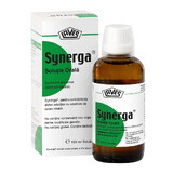 Synerga solution orale, 100 ml, Laves