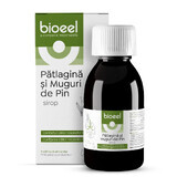 Patlagine en dennenknoppen siroop, 120 ml, Bioeel