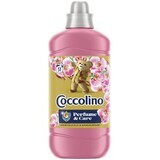 Coccolino Kamperfoelie wasverzachter 1.27 l