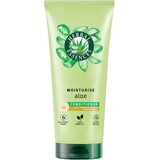 Herbal Essences Conditionneur hydratant à l'aloès pour cheveux très secs 250 ml