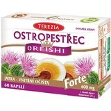 Terezia Thistle + reishi forte 600 mg 60 capsule