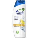 Head & Shoulders Citrus Shampoo voor vet haar 400 ml