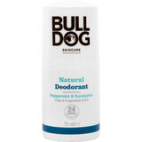 Natuurlijke deodorant Bulldog pepermunt en eucalyptus 75 ml