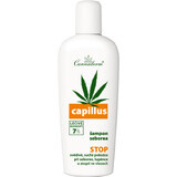 Cannaderm Capnaderm Capillus seborrhea shampoo 150 ml