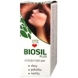 Naturvita Biosil Plus 60 tabletten