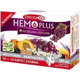 Terezia Hemoplus + Acide Folique 60 gélules