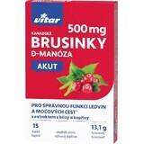 Vitar Canadese Veenbes AKUT 15 capsules