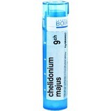 Boiron Chelidonium Majus CH9 Granulat 4 g