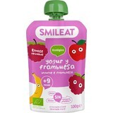 Smileat Bio yoghurtzakje met frambozen 100 g