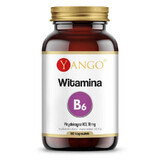 Vitamine B6 (pyridoxine HCL) 90 capsules Yango