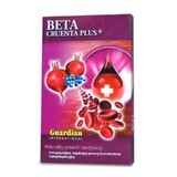 Freeze-dried and micellized beetroot with Chokeberry - Beta Cruenta Plus 500g - carton, Guardian International