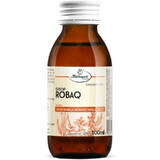 ROBAQ siroop 100ml HERBAPOL KRAKÓW