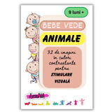 Kartonnen dierenbeest Bebe Vede, +9 maanden, Amona