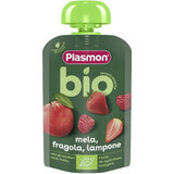 Organic puree of strawberries, raspberries and apples, + 6 months, 100 g, Plasmon