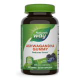 Ashwagandha Gummy, 125 mg, 90 stuks, Berry, Nature's Way